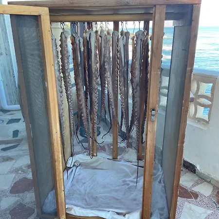 Villa Joyjoyjoy Design-ecolicious Boutique House Dénia