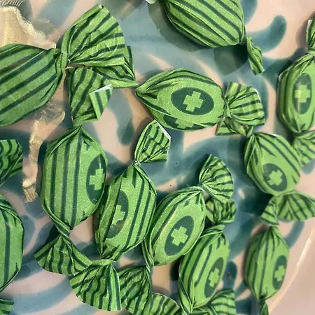 Joyjoyjoy Casa Joy A Design-Ecolicious Boutique Beach House *